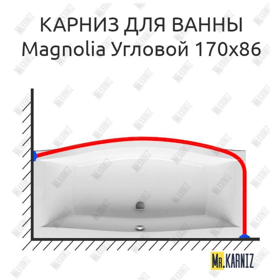 Карниз для ванны Ravak Magnolia Угловой 170х86 Усиленный 20 мм MrKARNIZ Карниз для ванны Ravak Magnolia Угловой 170х86 Усиленный 20 мм MrKARNIZ